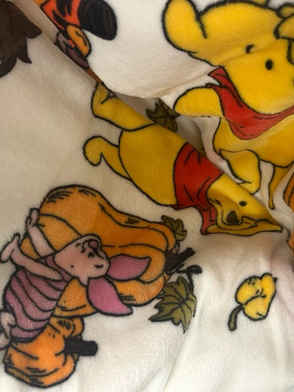 Disney Winnie the Pooh & Friends Plush Blanket, Queen Size